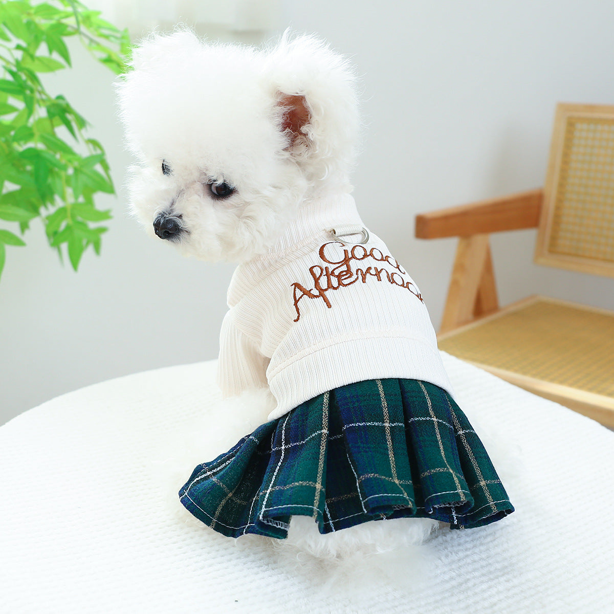 Dog Or Cat Clothes Embroidered Letter Skirt - canrusupet