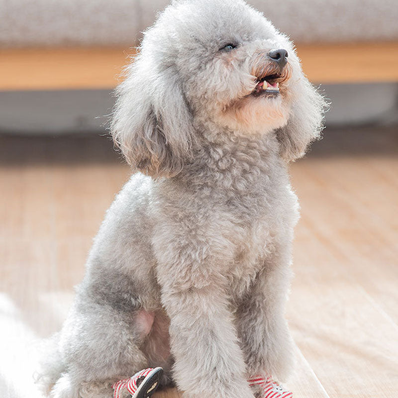 Breathable Dog Boots For Small Dog | Striped Canvas Soft-Sole canrusupet