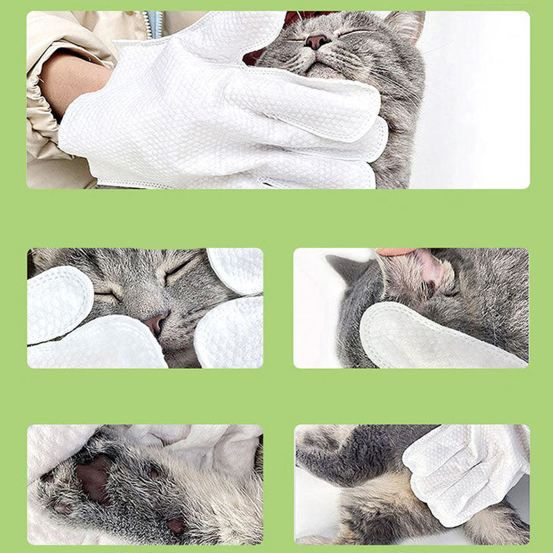 Glove Styles Cleaning Wipes For Dogs Cats canrusupet