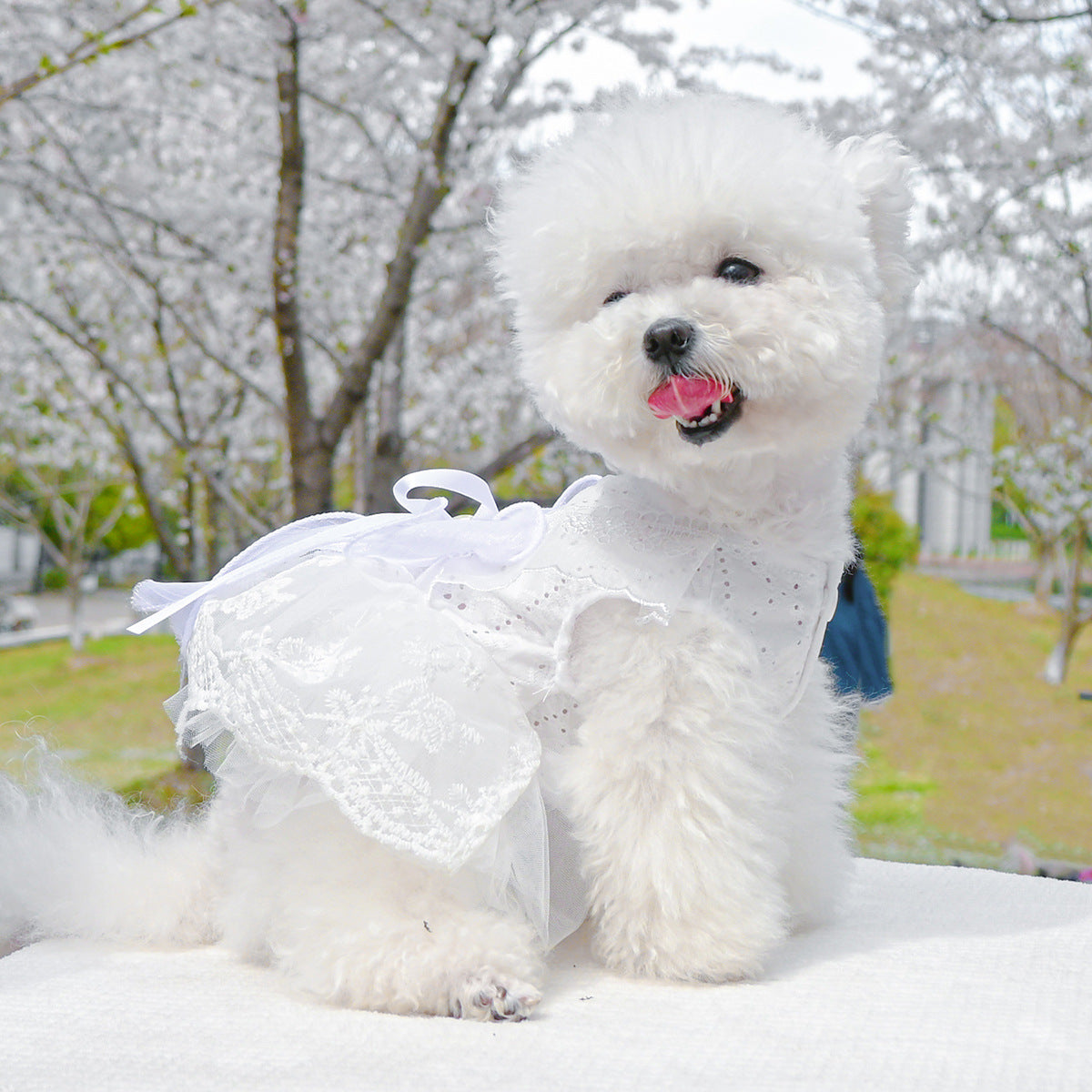 Dog Or Cat Clothes Princess Wedding Dress - canrusupet