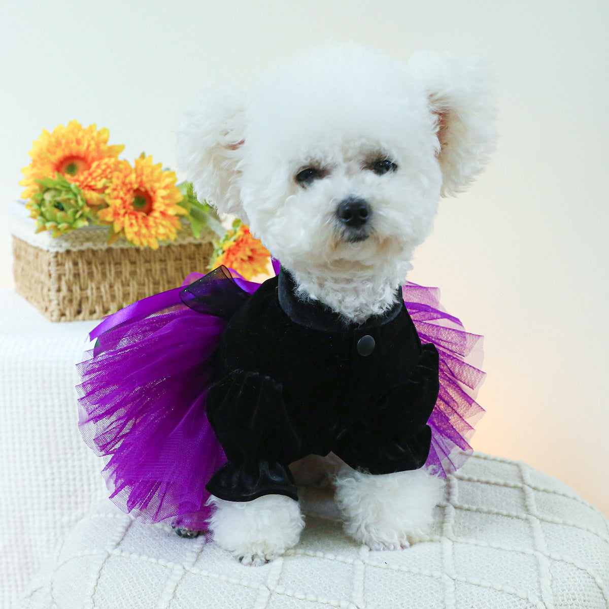 Dog Or Cat Clothes Little Witch Wedding Dress - canrusupet