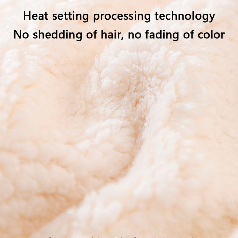 Thickened Lamb Wool Cartoon Style Dog Blanket For Pet canrusupet