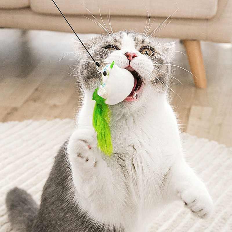 Chew-Proof Kitten Cat Toys - Replaceable Feather Teaser canrusupet