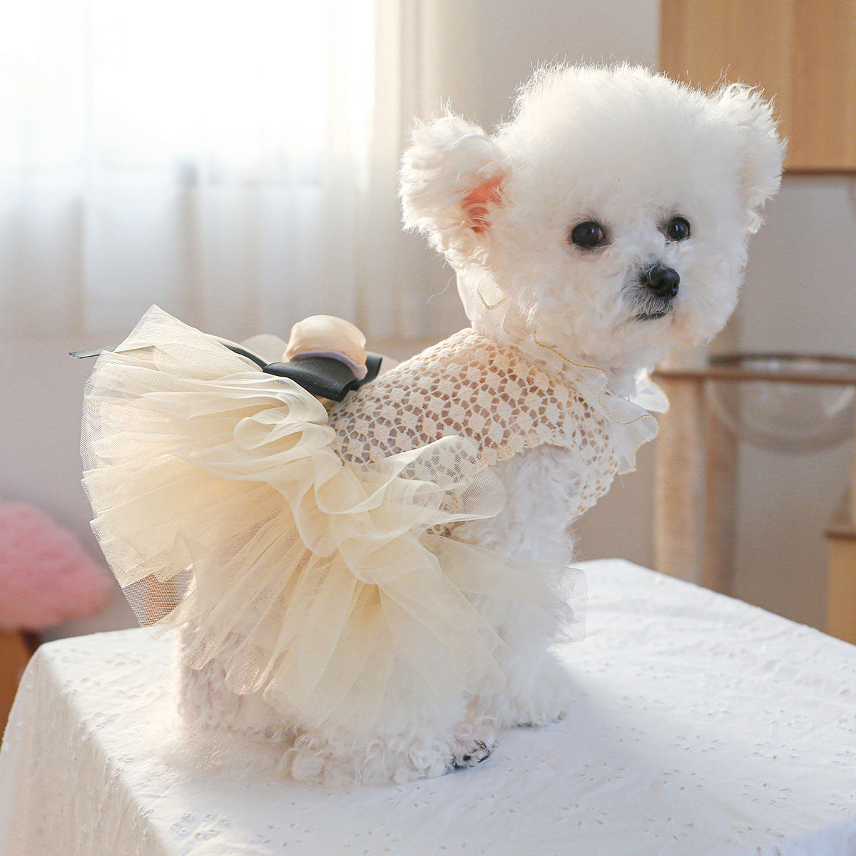 Dog or Cat Clothes Princess Pompadour Wedding Dress - canrusupet