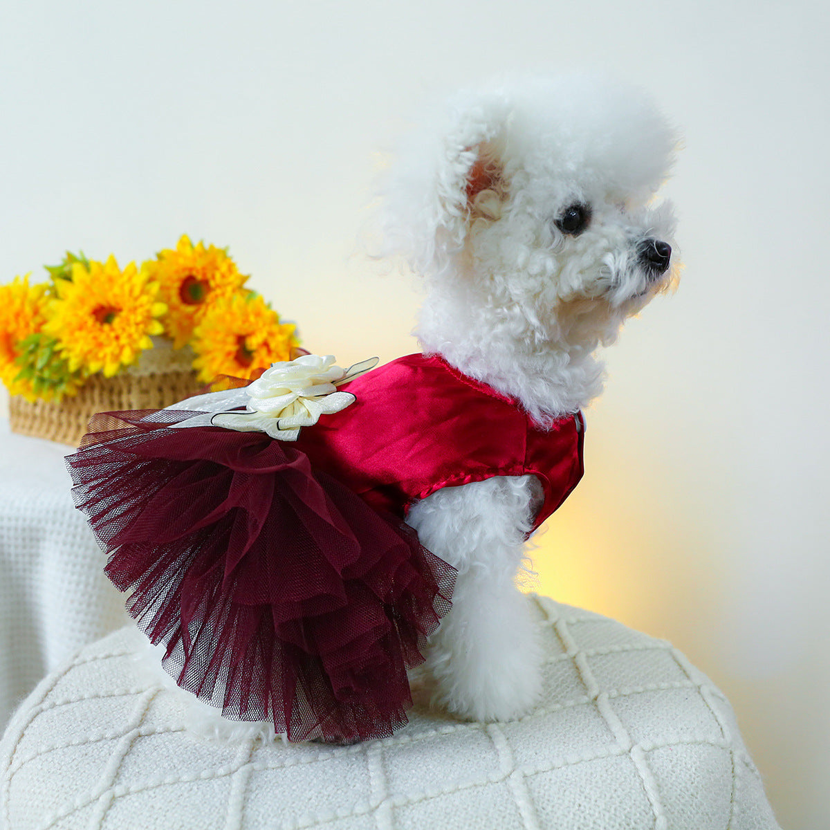 Dog Or Cat Clothes Lady's Wedding Dress - canrusupet