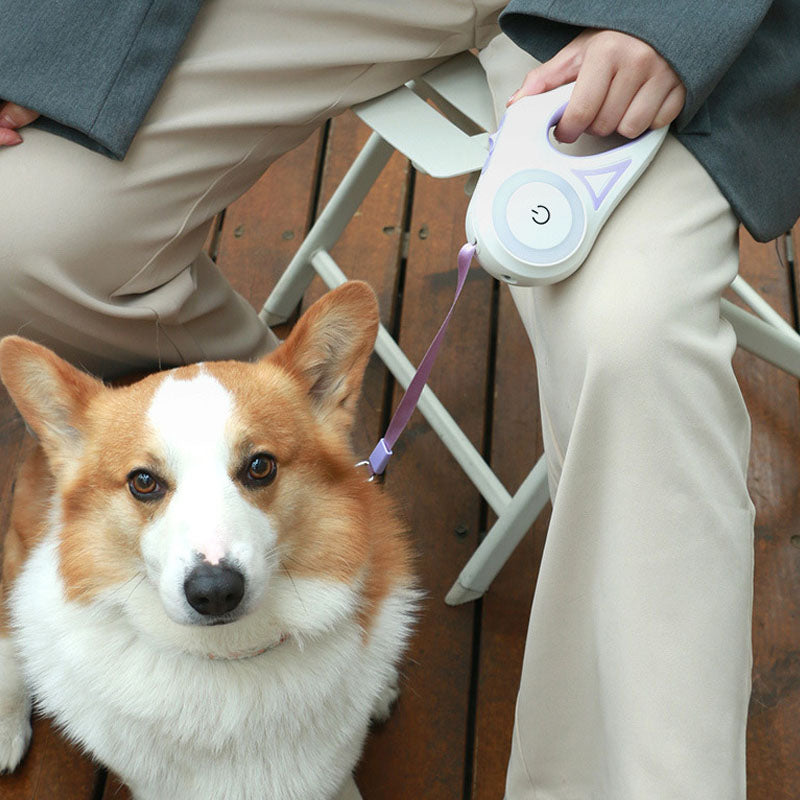LED Retractable Dog Leash For Small/Medium Dogs