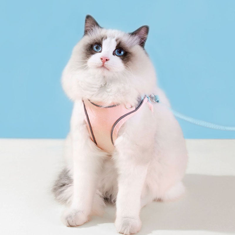 Chest And Back Styles Dog Leash With Reflective Strip canrusupet