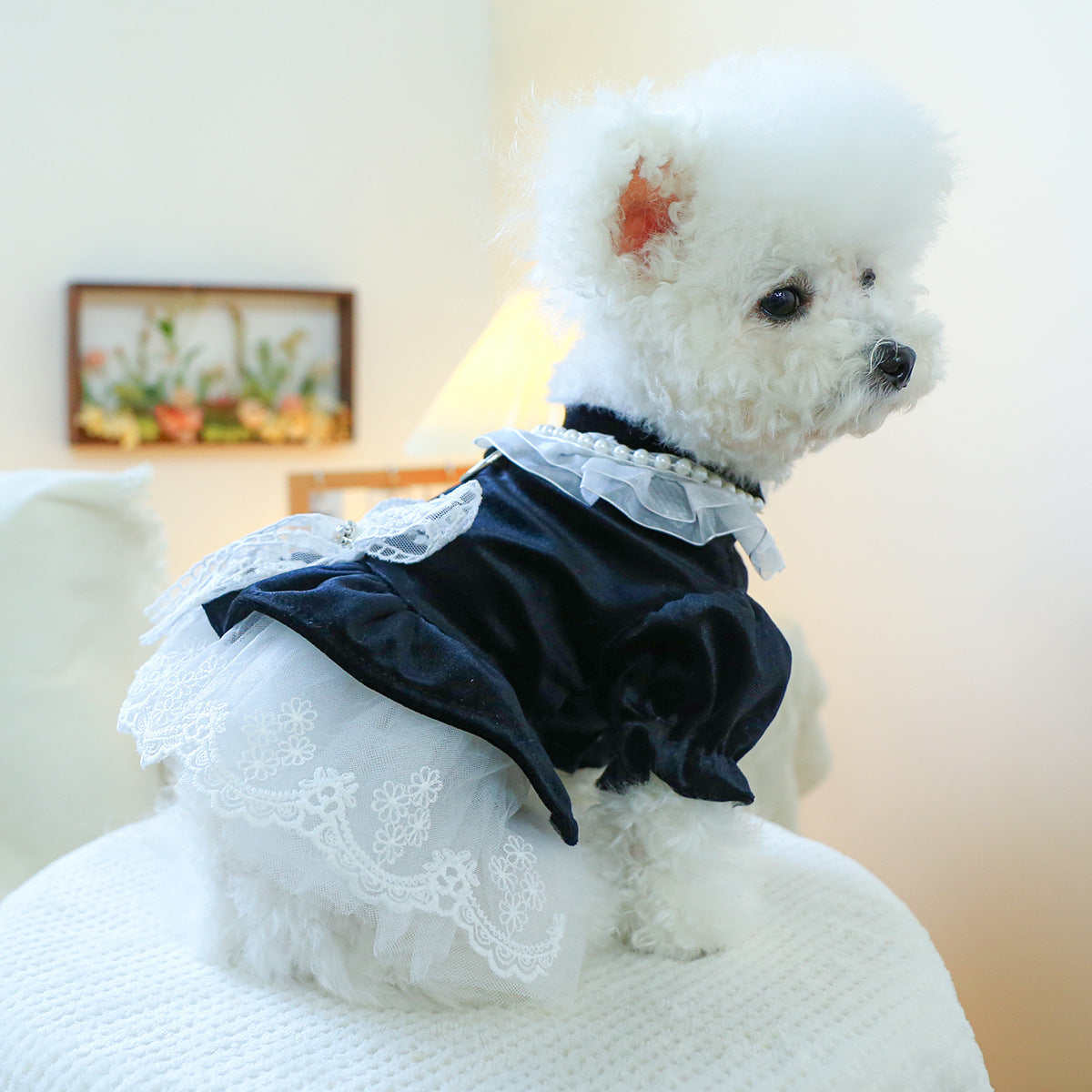 Dog Or Cat Clothes Velvet Dress - canrusupet