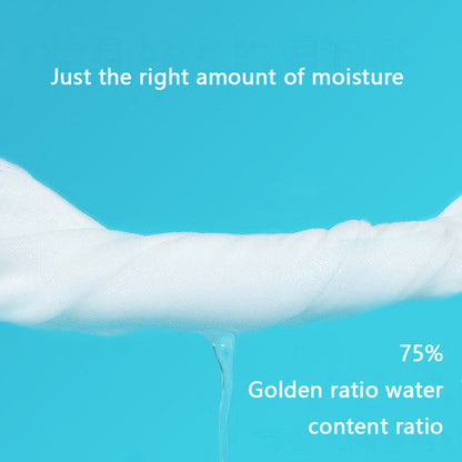 Glove Style Cleaning Wet Wipes Used For Pet Dry Cleaning canrusupet