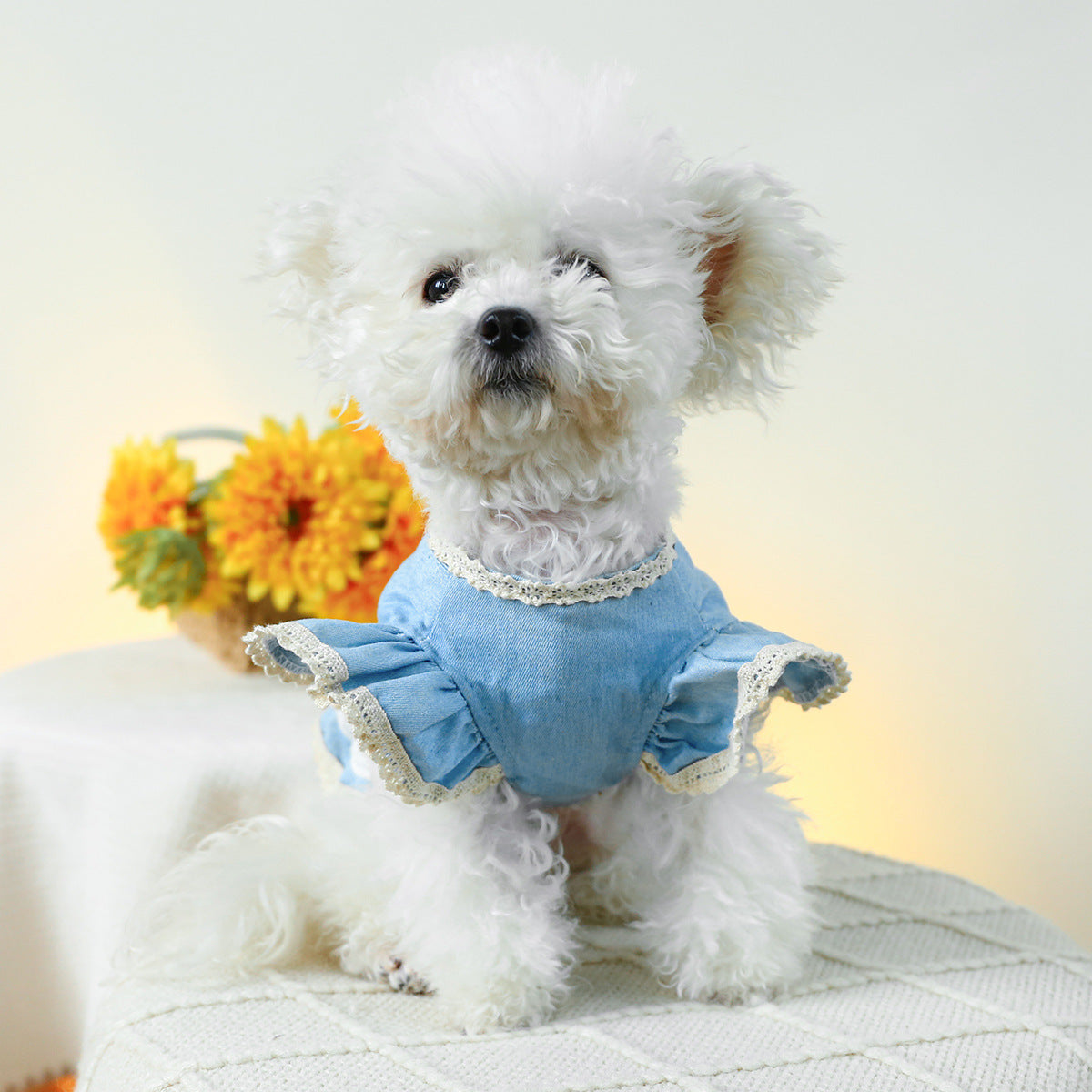 Dog Or Cat Clothes Denim Skirt With Flying Sleeves And Lace - canrusupet