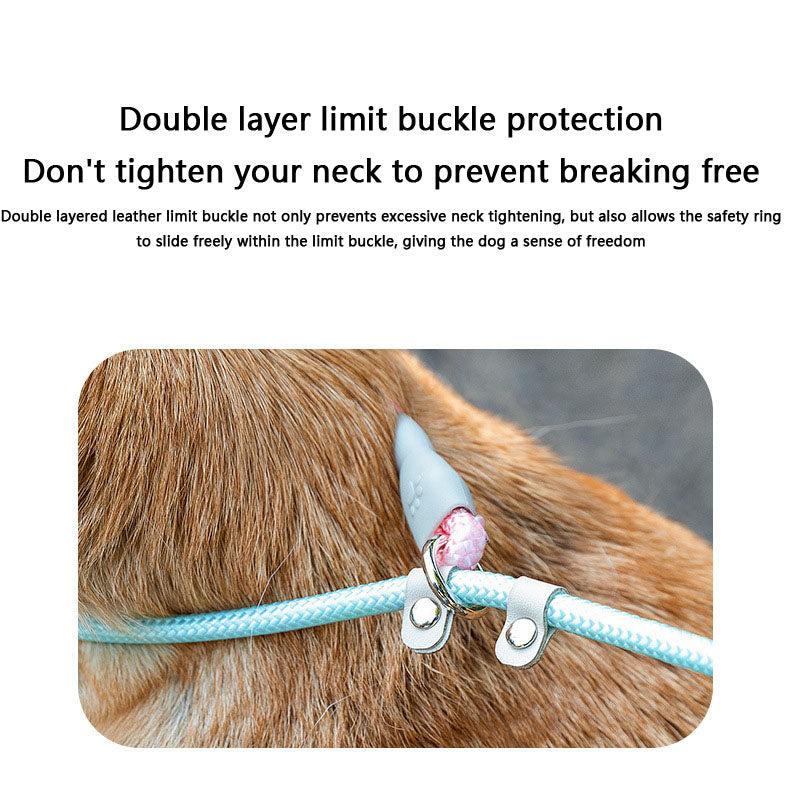 Ombre Dog Lead For Medium Dogs - Anti-Pull Training Leash canrusupet