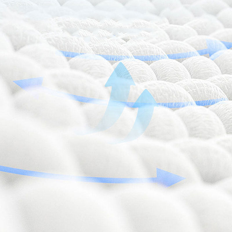 Male And Female Two Styles Disposable Dog Nappies canrusupet