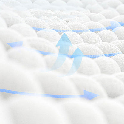 Male And Female Two Styles Disposable Dog Nappies canrusupet