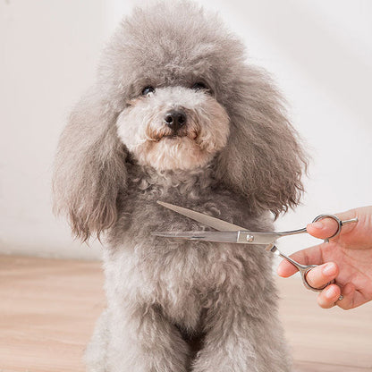 Professional Dog Grooming Scissors Hair Trimming Set canrusupet