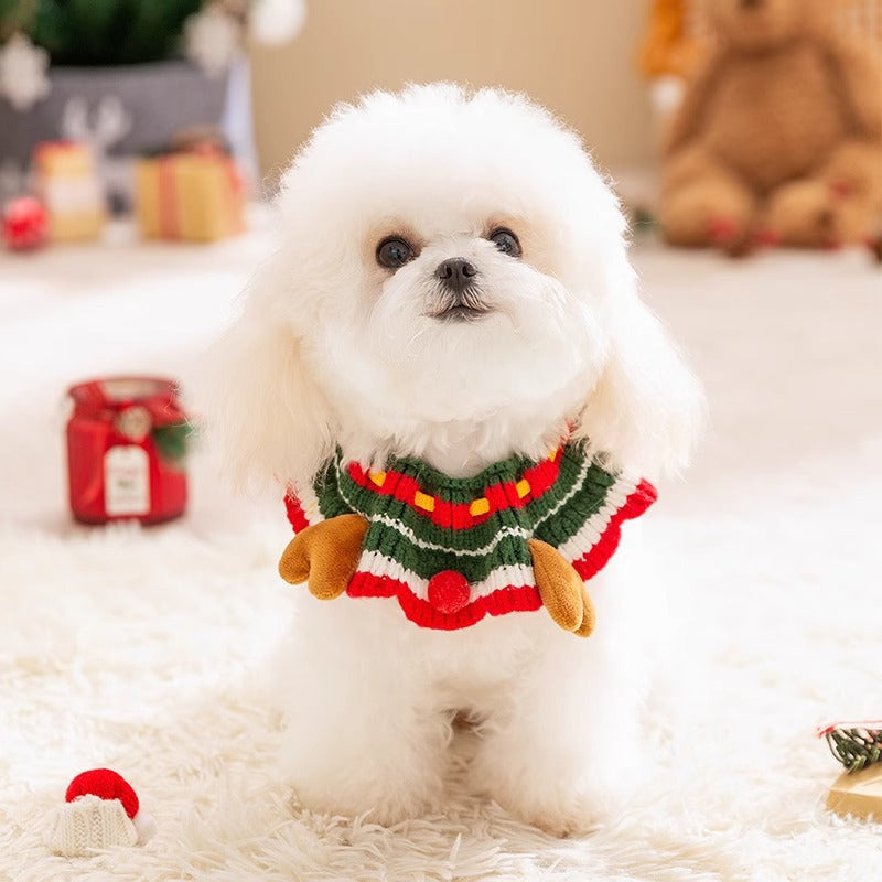 Christmas Winter Snowman Knit Dog Collar For Small Dog & Cat canrusupet