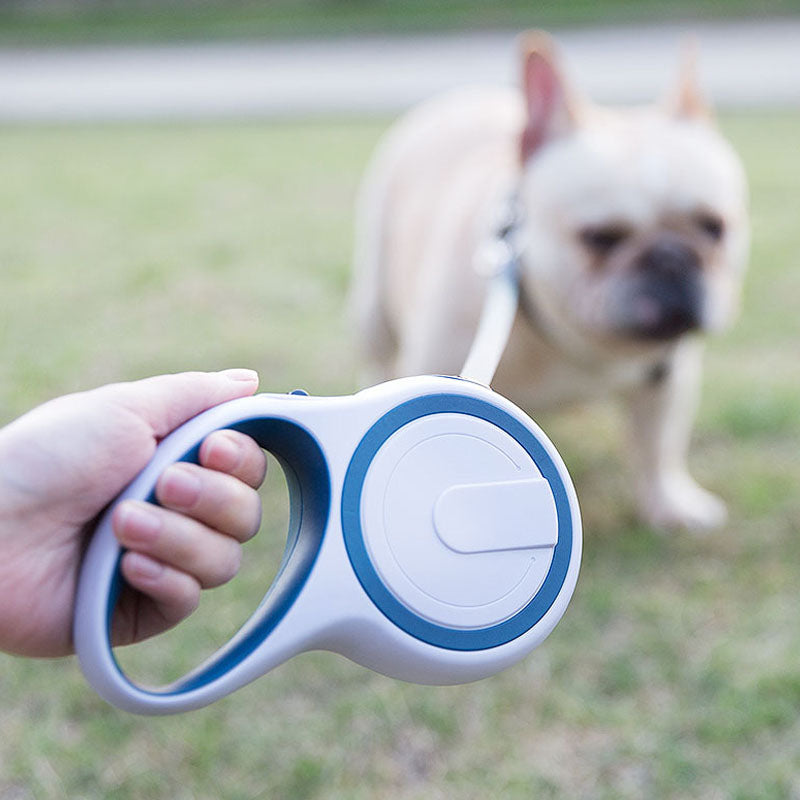 Auto Retractable Dog Leash For Small, Medium & Large Breeds