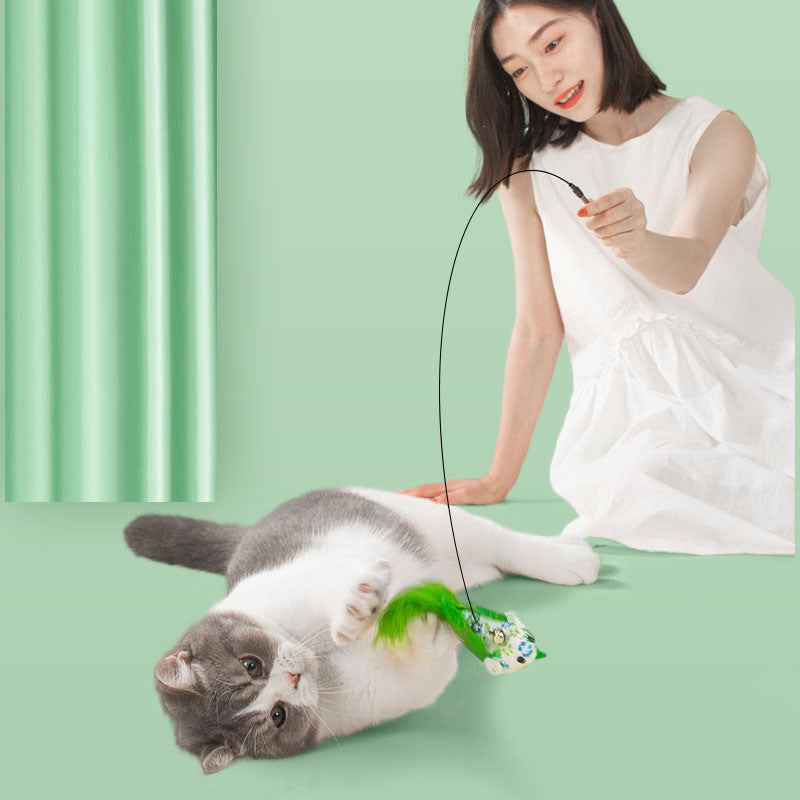 Chew-Proof Kitten Cat Toys - Replaceable Feather Teaser canrusupet