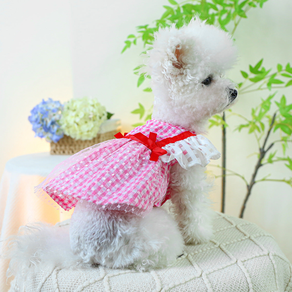 Dog Or Cat Clothes Woven Gauze Skirt - canrusupet