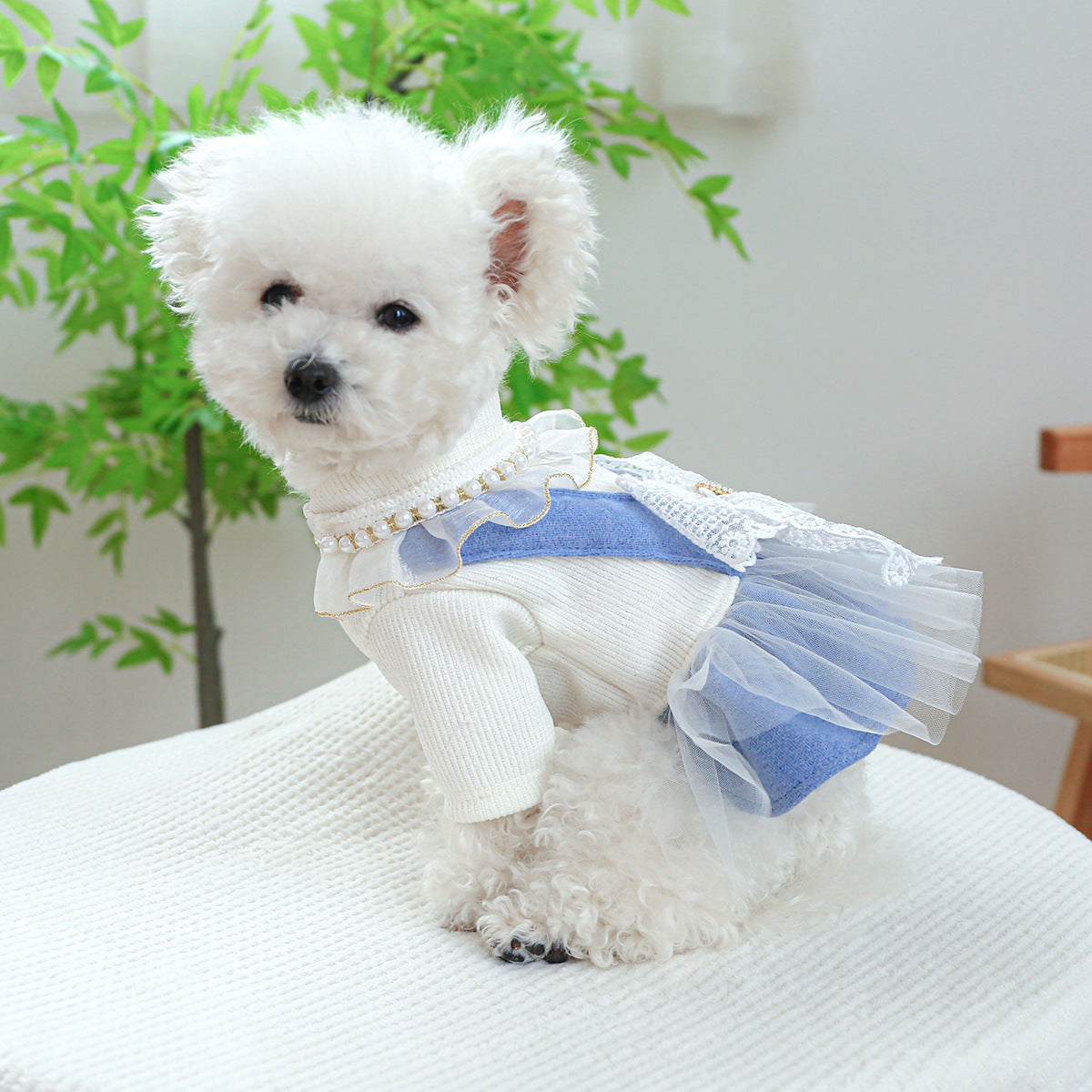 Dog Or Cat Clothes Pearl Lace Skirt - canrusupet