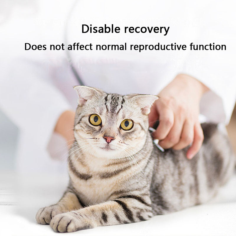 Cat Calming Pheromone Spray - Stop Heat For Female Cats canrusupet