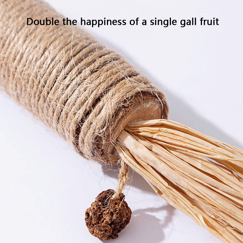 Jumbo Silvervine Cat Toys - Durable & Chew Toys For Kittens canrusupet