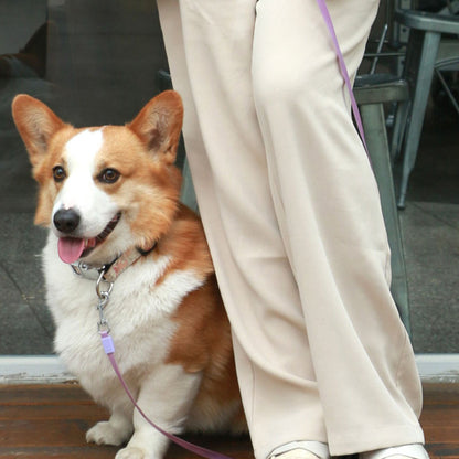 LED Retractable Dog Leash For Small/Medium Dogs