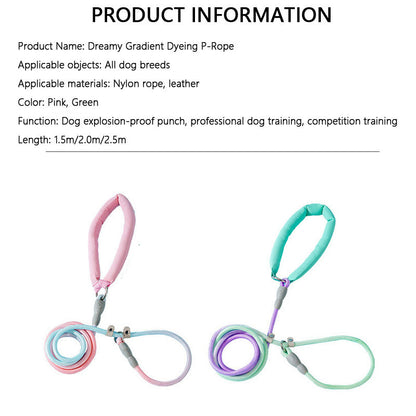 Ombre Dog Lead For Medium Dogs - Anti-Pull Training Leash canrusupet