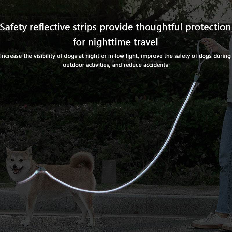 No-Pull Dog Lead - Comfort Grip P-Rope For Small Dogs canrusupet