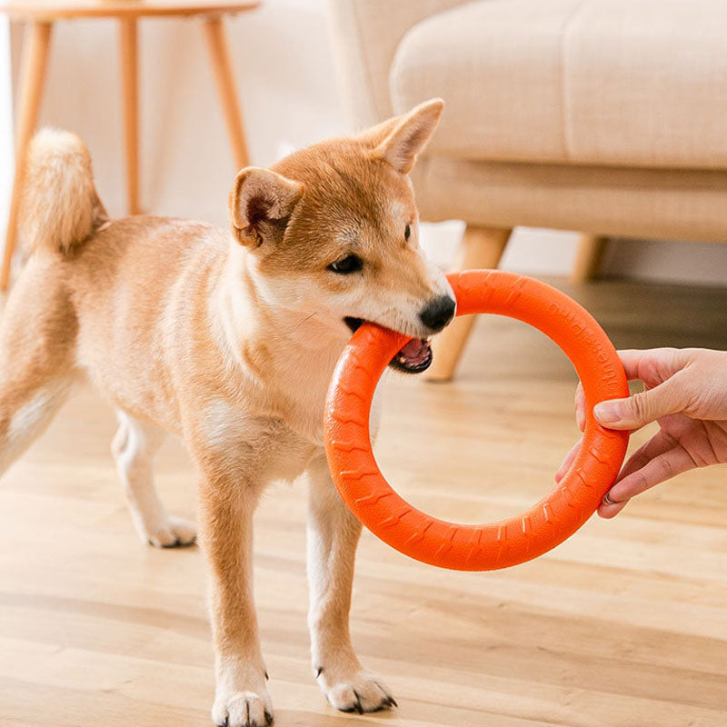 Bouncy Tug Ring Frisbee Dog Toys - Durable Chew-Proof canrusupet