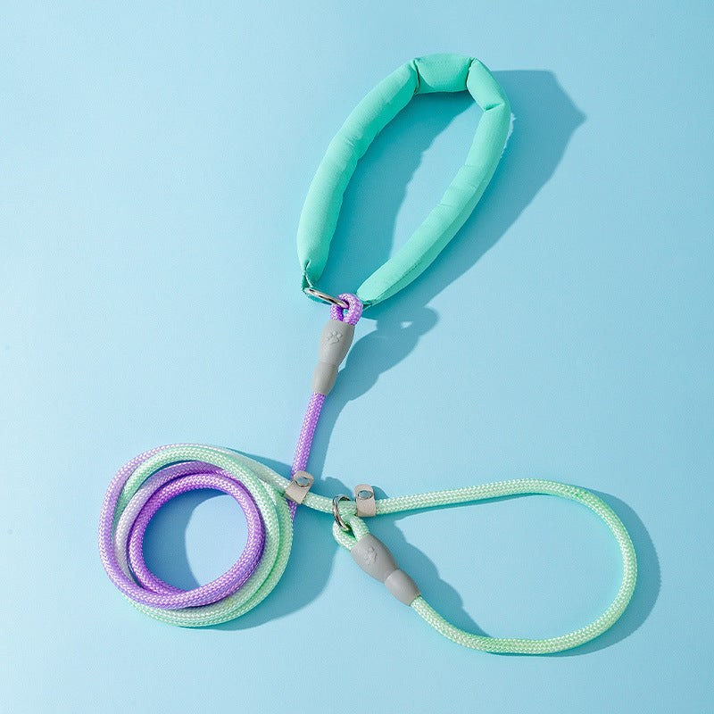 Ombre Dog Lead For Medium Dogs - Anti-Pull Training Leash canrusupet