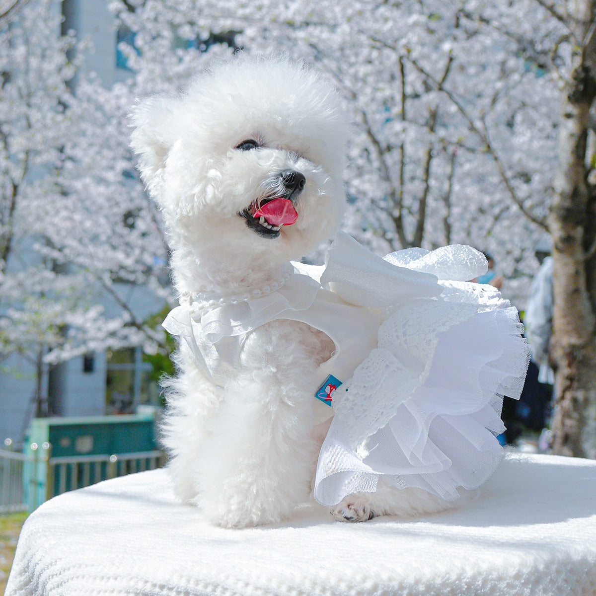 Dog Or Cat Clothes Wedding Dress With Pearls - canrusupet