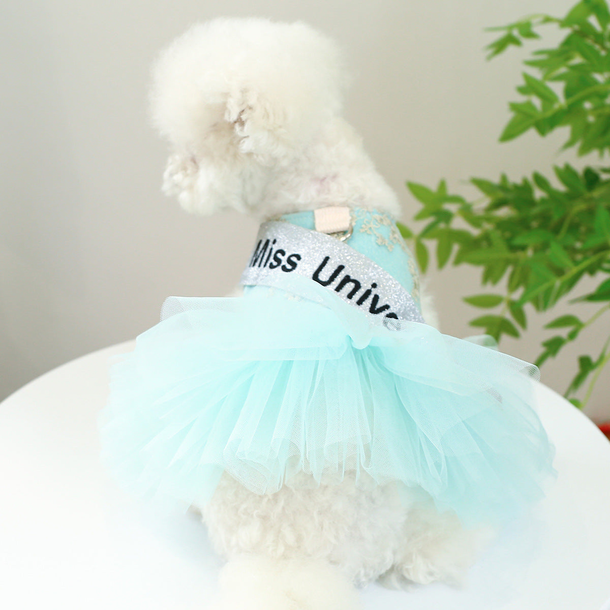 Dog Or Cat Clothes Miss Universe Dress - canrusupet