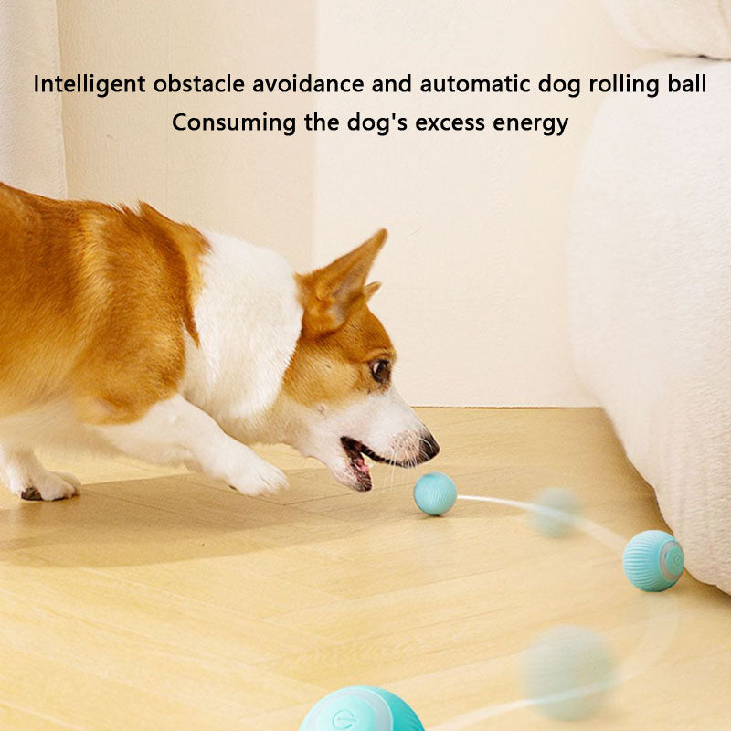 Chew-Proof Self-Rolling Dog Toys - Interactive Fetch Ball canrusupet