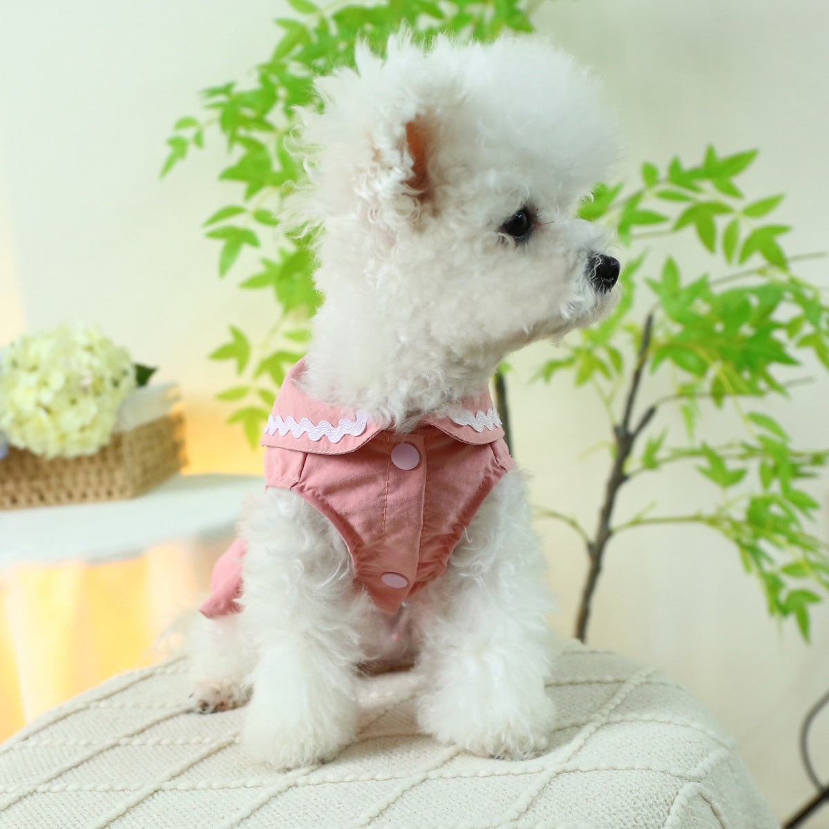 Dog Or Cat Clothes Strapless skirt - canrusupet