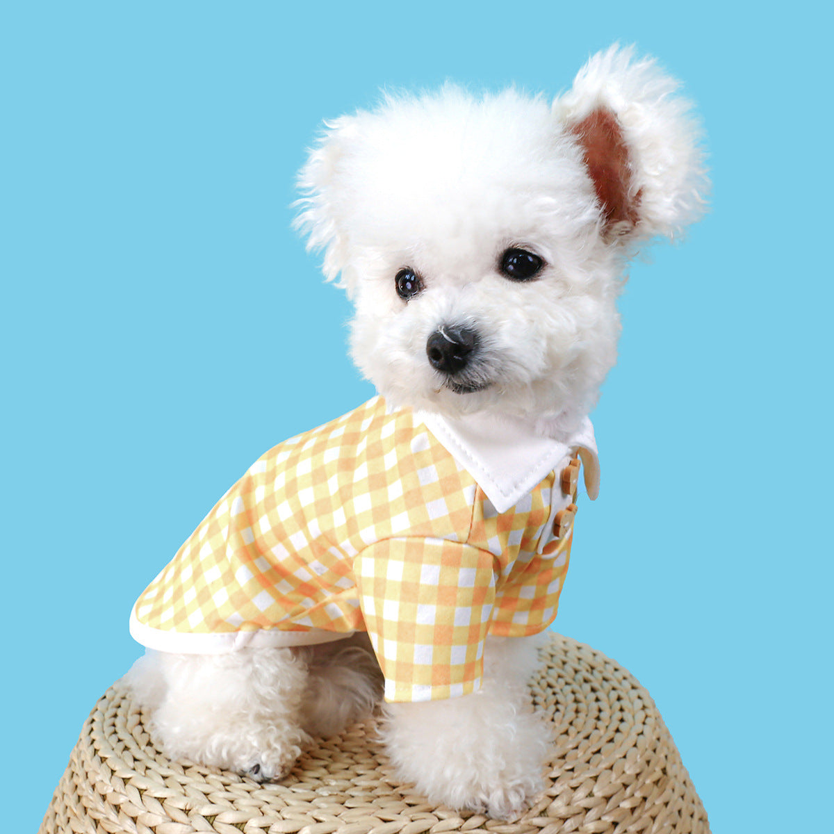 Dog Or Cat Clothes Bear Checkered Polo Shirt - canrusupet