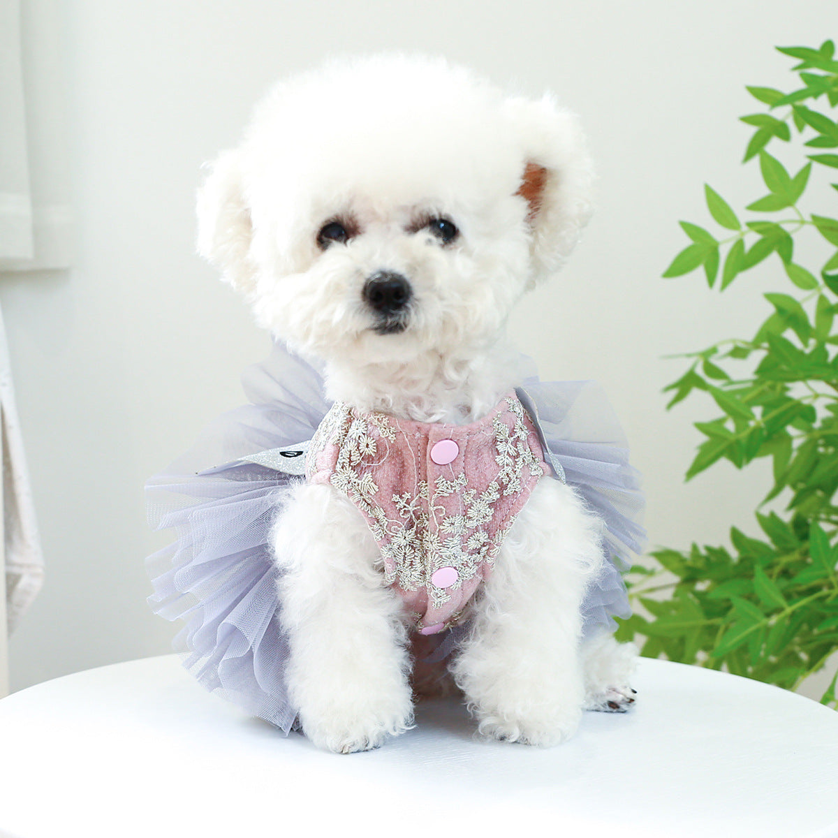 Dog Or Cat Clothes Miss Universe Dress - canrusupet