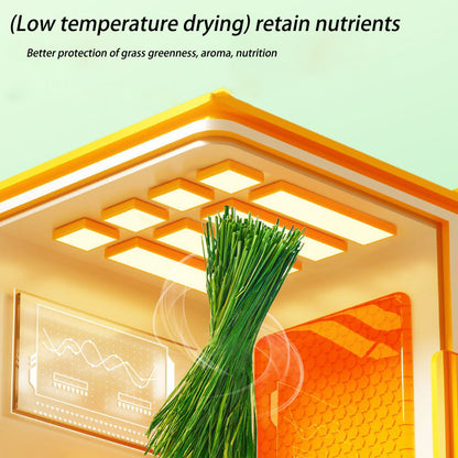 Hamster Bedding From North Extraction of Molars Forage - canrusupet