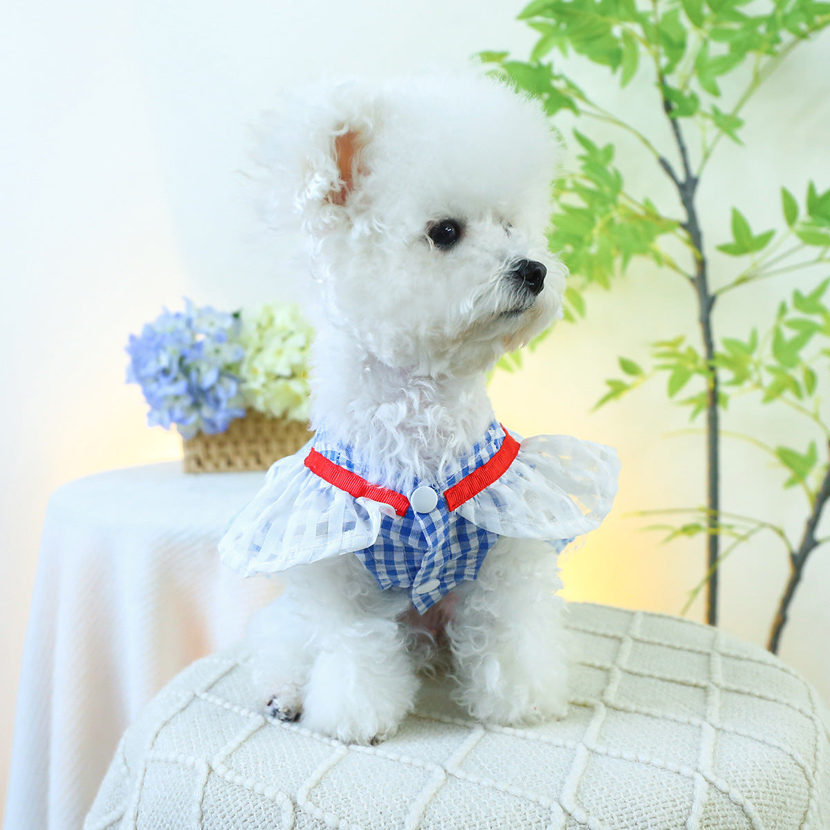 Dog Or Cat Clothes Apple Collar Skirt - canrusupet