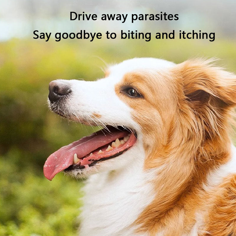 Fipronil Frontline Plus For Cats And Dogs Spray canrusupet