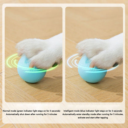Chew-Proof Self-Rolling Dog Toys - Interactive Fetch Ball canrusupet