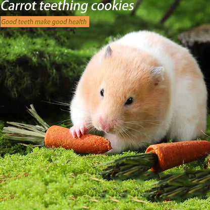 Hamster Carrot Teething Stick - canrusupet