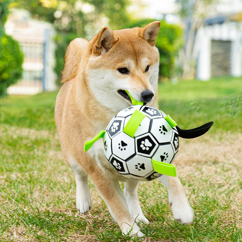 Dog Interactive Soccer Style Dog Toys canrusupet