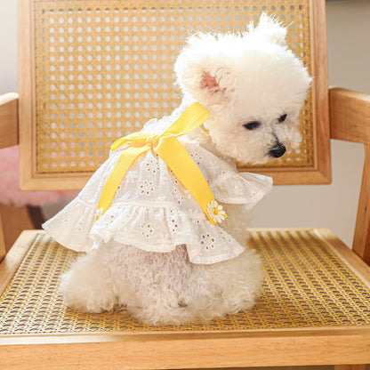 Dog Or Cat Clothes With A Yellow Bow - canrusupet