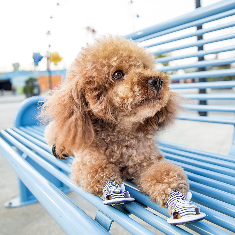Breathable Dog Boots For Small Dog | Striped Canvas Soft-Sole canrusupet