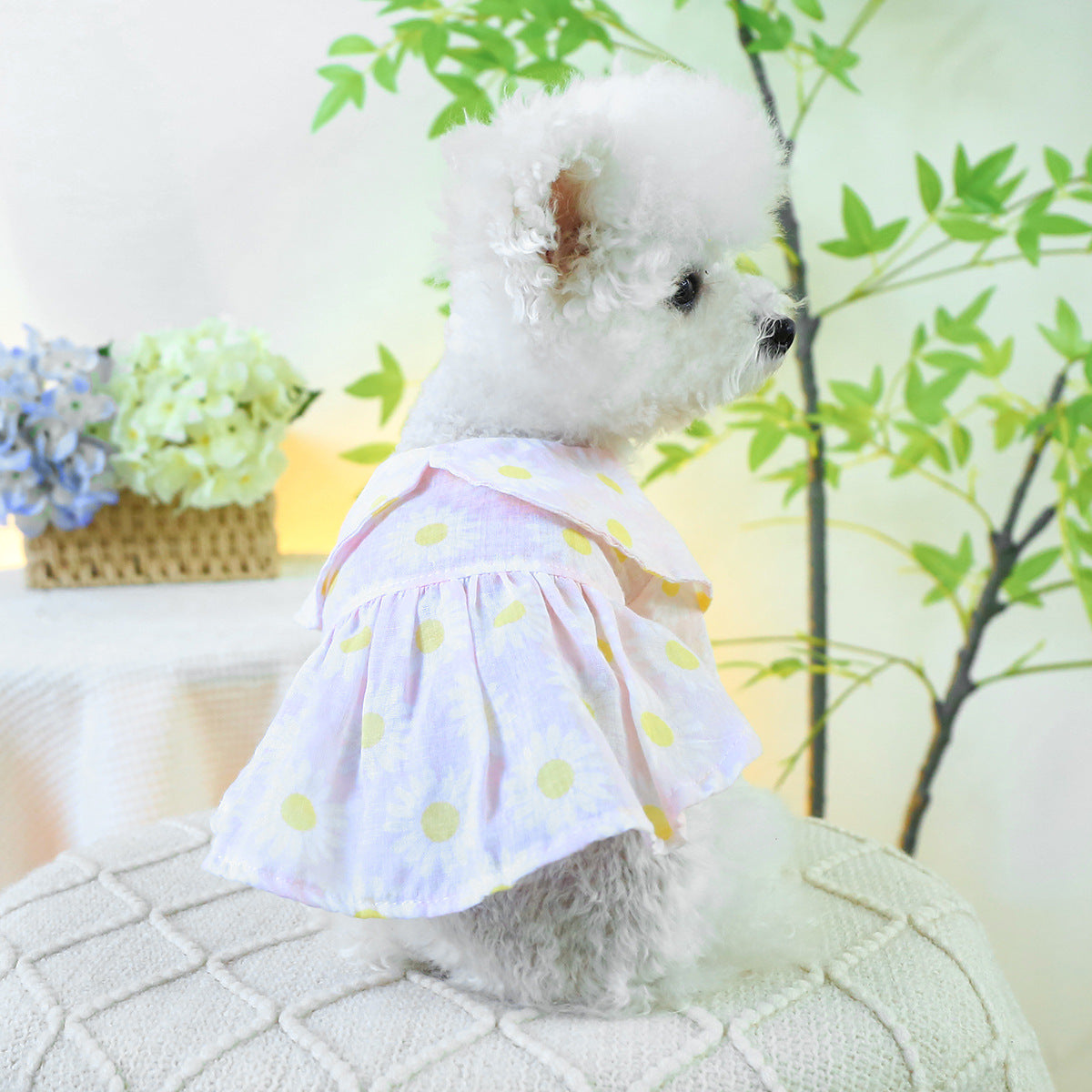 Dog Or Cat Clothes Minimalist Skirt - canrusupet