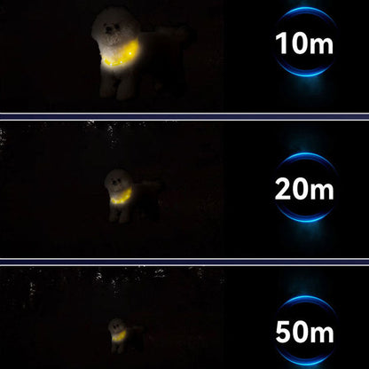 Glow Dog Choker Necklace – Rechargeable Adjustable Anti-Chew canrusupet