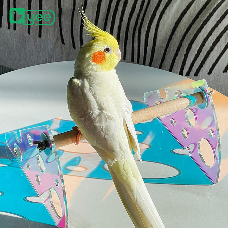 Acrylic parrot stand - canrusupet