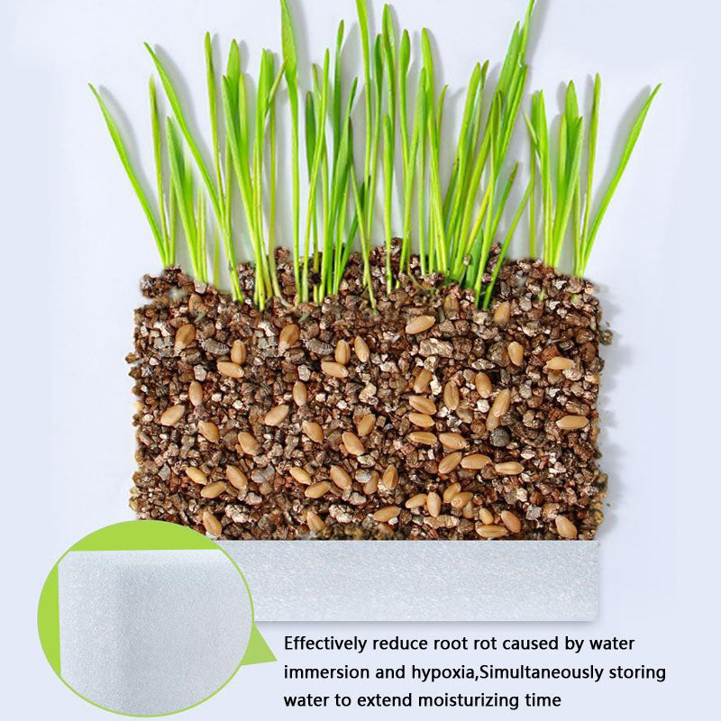Easy-Grow Cat Grass Kit - Hairball Relief For Indoor Cats canrusupet