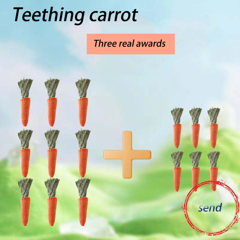 Hamster Carrot Teething Stick - canrusupet