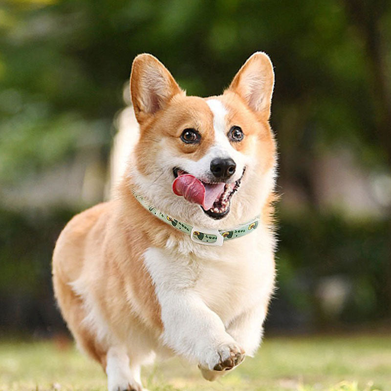 Insect Repellent Plant Essential Oils Choker For Dogs Cats canrusupet